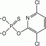 Chemical structure of chlorpyrifos, or Dursban